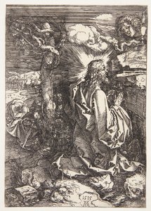 Kval i hagen av Albrecht Dürer
