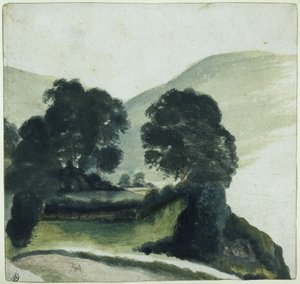 Tregruppe med vei i fjellene av Albrecht Dürer