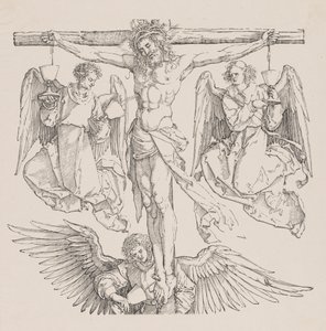 Christ on the Cross   1274067   no       norwegian Successfully Translated  Original: Jersey tea, Ceanothus herbaceus (Narrow-leaved Jersey Tea, Ceanothus ovalis) Translat: Jersey tea, Ceanothus herbaceus (Narrow-leaved Jersey Tea, Ceanothus ovalis) 141198 av Albrecht Dürer