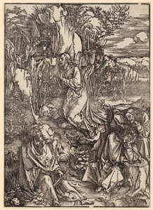  av Albrecht Dürer