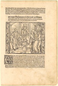 Barnet Daniel avslører Susannas anklagere for retten av Albrecht Dürer