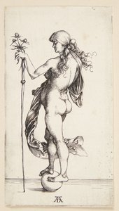 Formue av Albrecht Dürer
