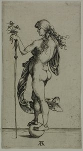 Formue av Albrecht Dürer