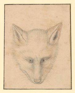  av Albrecht Dürer