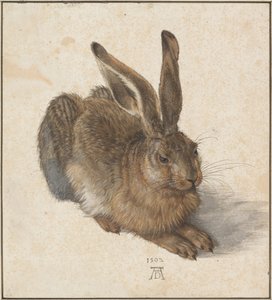 Ja, 1502 av Albrecht Dürer