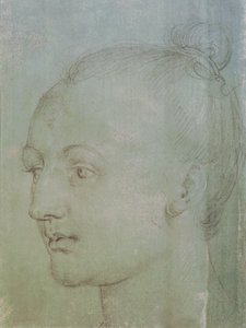 Head of a Young Woman (svart kritt forsterket med hvitt kritt på grønt papir) av Albrecht Dürer