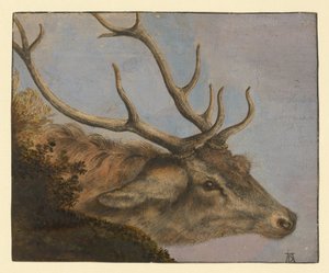  av Albrecht Dürer
