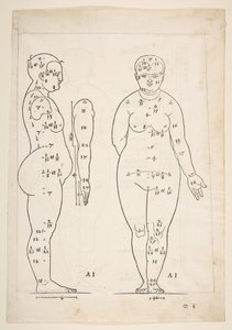 Illustrasjon fra Dürers fire bøker om menneskelig proporsjon, Nürnberg, 1528.n.d. av Albrecht Dürer