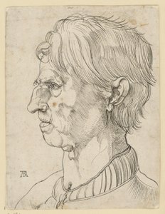 Hode av en eldre skjeggløs mann, i profil mot venstre av Albrecht Dürer