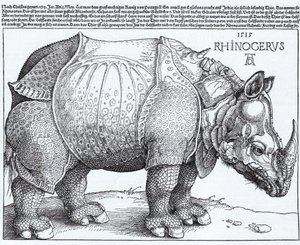  av Albrecht Dürer