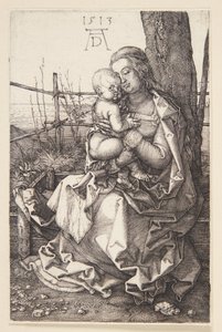 Madonna ammer av Albrecht Dürer