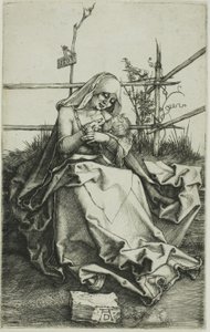 Madonna på en gresskledd bredd av Albrecht Dürer