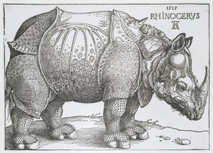 Neushoorn Neshorn (tittel på objekt) av Albrecht Dürer