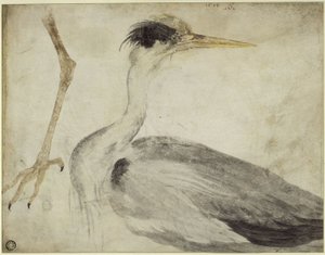  av Albrecht Dürer