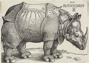 Rhinocerus (Neshornet) av Albrecht Dürer