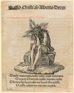  av Albrecht Dürer
