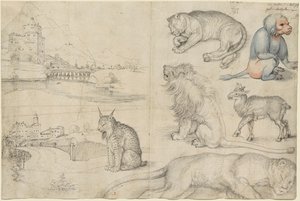 Skisser av dyr og landskap, 1521. av Albrecht Dürer