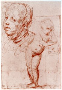 Studier, 1913. av Albrecht Dürer