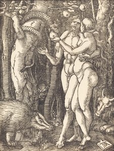 Menneskets fall, sannsynligvis ca. 15091510. av Albrecht Dürer