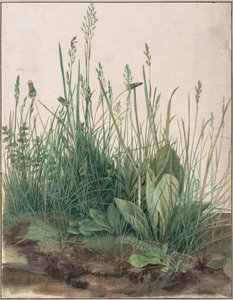  av Albrecht Dürer