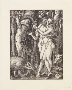 Den lille pasjonen: Syndefallet av Albrecht Dürer