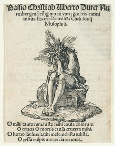 av Albrecht Dürer