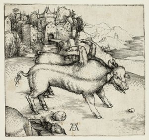 Den monstrøse purken til Landser av Albrecht Dürer