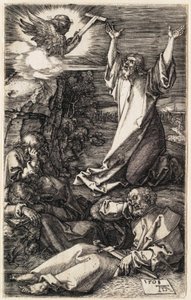  av Albrecht Dürer