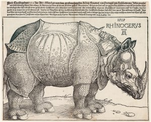 Neshornet av Albrecht Dürer