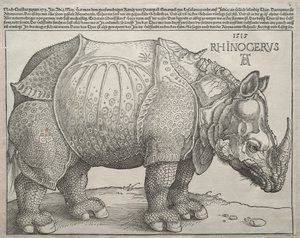 Neshornet av Albrecht Dürer