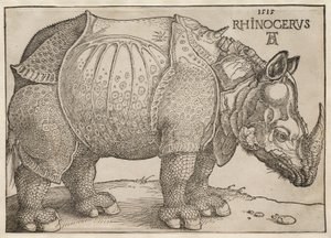  av Albrecht Dürer