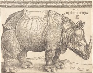 Neshornet, 1515. av Albrecht Dürer