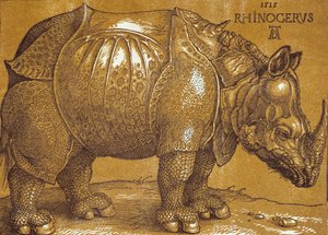 Neshornet, 1515. av Albrecht Dürer