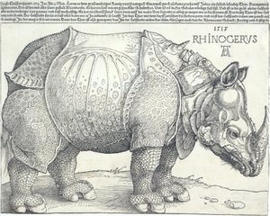 The Rhinoceros, 1515., 1515. av Albrecht Dürer