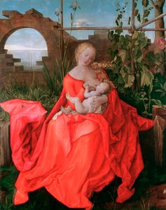 Jomfruen og barnet, Madonnaen med iris, 1500-1510 av Albrecht Dürer