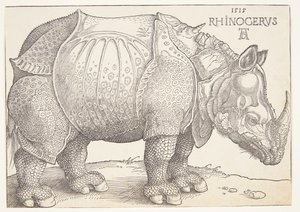 Neshornet av Albrecht Dürer