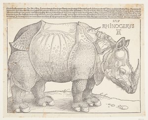 Neshornet av Albrecht Dürer