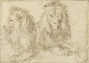  av Albrecht Dürer