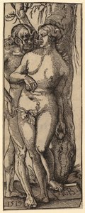 Den hellige Maria Magdalenas ekstase av Albrecht Dürer