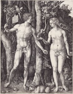Adam og Eva, pub. 1504 (gravering) av Albrecht Dürer
