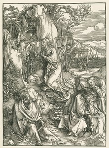  av Albrecht Dürer or Duerer