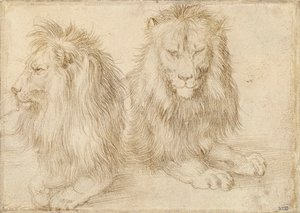 To sittende løver - Tegning av Albrecht Durer (1471-1528) av Albrecht Dürer