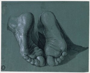Etude de pieds - Study of Two Feet - Tegning av Albrecht Durer (1471-1528), Akvarell, hvit farge, svart kritt på papir, c1508 (17,6x21,6cm) - Museum Boijmans Van Beuningen, Rotterdam av Albrecht Dürer