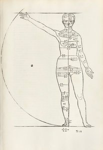Kvinnelig anatomisk tresnitt fra "Herin er forstått fire bøker av menneskelige proporsjoner" av Albrecht Dürer