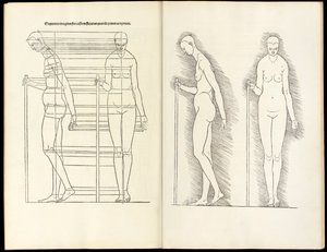 Kvinne med stav, anatomisk tresnitt fra Her er fire bøker av menneskelig proporsjon, 1528 av Albrecht Dürer