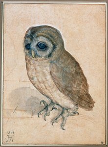  av Albrecht Dürer or Duerer