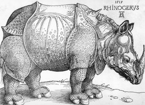 Neshorn av Albrecht Dürer