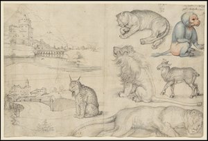 Skisser av dyr og landskap, 1521 av Albrecht Dürer