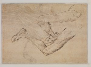 Studie av et venstre ben fra to synspunkter av Albrecht Dürer