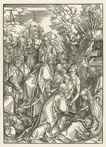  av Albrecht Dürer or Duerer